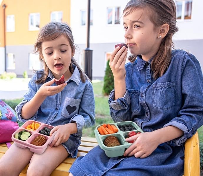 Bento Snack Box — 4 Compartments, Leakproof Lid